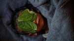 Melihat Foto-foto Karya Pemenang Pulitzer 2018