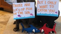 Ada banyak ikan di laut, tapi aku hanya mau menangkap kamu, ujar dua anjing ini. Duhhh bisa aja deh! Foto: Instagram barnabas.and.madeline.the.neos