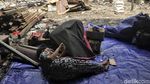 Melihat Pengungsi Korban Kebakaran Papanggo