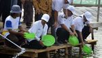 Bawa Baskom, Rini Tebar Benih Udang di Bekasi