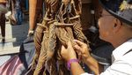 Belanja Koteka di Papua, Ini Tempatnya
