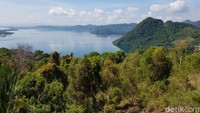 Foto: Dari bukit ini, traveler bisa melihat keindahan alam Papua yang mempesona. (Elvan/detikTravel)