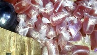 Miras oplosan cairan pembersih lantai yang siap edar ini dijual dalam kemasan plastik. (Foto: istimewa)