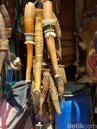 Bagi Orang Papua, Sejak Umur Berapa Mereka Pakai Koteka?