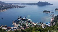 Foto: Ramainya pelabuhan juga bisa traveler lihat dari atas Bukit Jokowi. Ini menandakan ada geliat ekonomi yang terjadi di Jayapura. (Elvan/detikTravel)