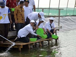 Bawa Baskom, Rini Tebar Benih Udang di Bekasi