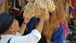 Belanja Koteka di Papua, Ini Tempatnya