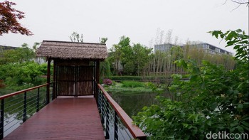 Jack Ma kerap menggunakan jembatan ini untuk melintas dari gedungnya yang berada di belakang menuju ke gedung lainnya. (Foto: detikINET/Adi Fida Rahman)