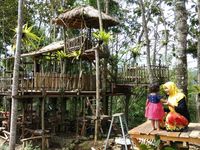 Green Gumuk Candi, Destinasi Wisata di Perbukitan yang Instagramable