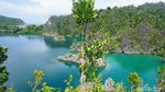 Yakin Tak Tergoda dengan Telaga Bintang di Raja Ampat?