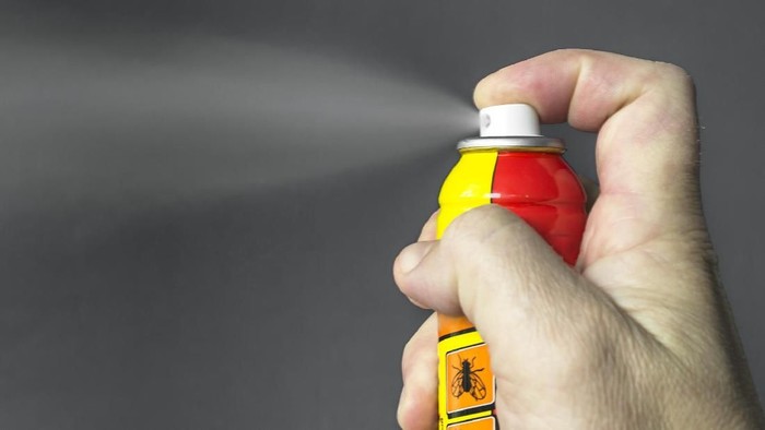 Aerosol for the control of insects.