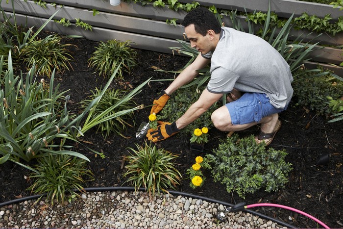 Hati-hati saat berkebun, dalam tanah kemungkinan terdapat dioksin, salah satu zat karsinogen yang terbentuk sebagai produk kimia. Maka sebaiknya saat berkebun gunakan sarung tangan untuk menghindari zat berbahaya. Dan hal yang harus dihindari juga ialah pembakaran sampah karena asap yang dihasilkan juga mengandung karsinogenik. (Foto: Thinkstock) Hati-hati saat berkebun, dalam tanah kemungkinan terdapat dioksin, salah satu zat karsinogen yang terbentuk sebagai produk kimia. Maka sebaiknya saat berkebun gunakan sarung tangan untuk menghindari zat berbahaya. Dan hal yang harus dihindari juga ialah pembakaran sampah karena asap yang dihasilkan juga mengandung karsinogenik. (Foto: Thinkstock)