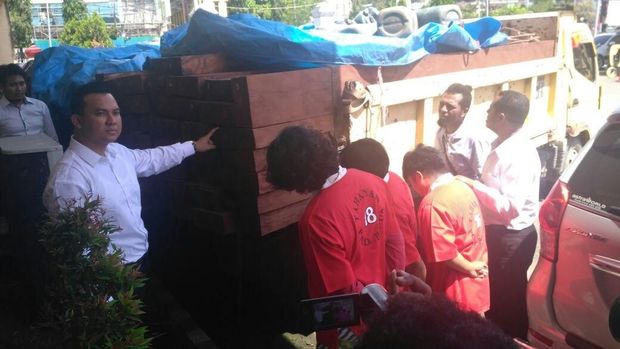 Polisu Ungkap Penyelundupan Batang Pohon Illegal Logging di Papua