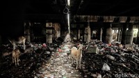 Bagaimana tanggapan Anda soal tumpukan sampah di kolong Tol Tanjung Priok tersebut?