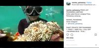 Screenshot video wisatawan angkat karang (@mainke_pahawang/Instagram)