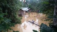Kita belum dapat mengetahui apakah dalam kejadian banjir bandang ini ada memakan korban jiwa, atau ada kerusakan berat dirumah warga yang terendam banjir, karena petugas masih berada di lokasi banjir. Kita tunggu nanti, jika ada informasi lengkap akan kita beritahu secepatnya, katanya. 