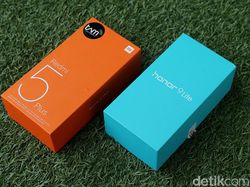 Perbandingan Ponsel Rp 2 Jutaan: Honor 9 Lite vs Redmi 5 Plus