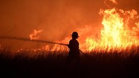 Kebakaran hutan kembali terjadi di Oklahoma, AS, pada Selasa (16/4/2018) malam waktu setempat. Dilaporkan sekitar 1.400 orang dilaporkan mengungsi karena api yang menyebar dengan cepat. Area yang terdampak kebakaran diperkirakan bisa meluas hingga 97.529 hektare. Disebutkan satu orang meninggal karena terjebak di dalam kendaraannya di Seiling. (Foto: Dok. REUTERS/Nick Oxford)