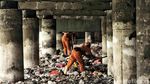 Pasukan Oranye Bersihkan Lautan Sampah di Kolong Tol Priok