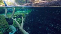 Wisatawan yang datang ke sana dijamin bakal tergoda untuk menyeburkan diri ke dalam lubangnya. Baik orang dewasa atau anak-anak, lubang tersebut memang sangat menggoda. Apalagi, para penyelam. (catweitzel/Instagram)