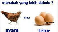 Asal-usul telur sepertinya masih jadi misteri. Kira-kira mana duluan ya? Ayam atau telur? Foto: Istimewa