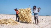 Dhanushkodi diapit dua laut, di satu sisi ada Teluk Benggala dan ada Samudra Hindia di sisi lainnya. Nelayan lokal menyebut Teluk Benggala dengan nama Penn Kadal (laut feminin) karena lebih tenang daripada Samudra Hindia (BBC Travel)