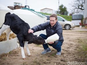 Ini Sosok yang Paling Diidolakan Mark Zuckerberg