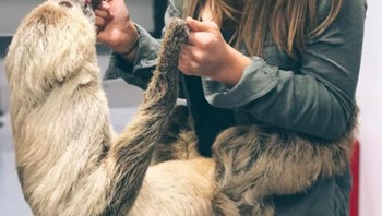 Masa kecilnya memang banyak dihabiskan di kebun binatang sehingga ia begitu akrab dengan banyak hewan. Foto: Instagram