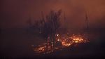 Foto: Dahsyatnya Kebakaran Hutan 97,5 Hektare di Oklahoma