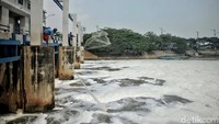 Sampai saat ini busa tersebut merupakan limbah rumah tangga.