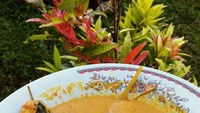Gulai ayam dengan paduan rasa pedas makin enak disantap hangat-hangat dengan nasi. Kuahnya kental, memiliki rasa yang nikmat! Foto: Instagram @fauziaaeva