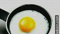 Pengen tahu definisi ikhlas yang sesungguhnya? Ya ini, ayam yang menghasilkan telur tapi saat diceplok dinamai telur mata sapi. Foto: Istimewa