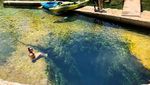 Foto: Kolam Cantik Tapi Mematikan
