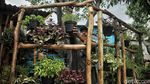 Nyamannya Ruang Terbuka Hijau di Rawa Badak Jakut