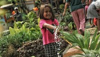 Taman itu dibangun pada awal tahun 2018 dan dihiasi oleh berbagai macam tanaman.