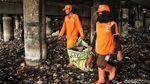 Pasukan Oranye Bersihkan Lautan Sampah di Kolong Tol Priok
