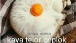 Penggemar Telur, Yuk Intip 10 Meme Telur yang Bikin Ngakak Ini!