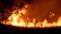 Kebakaran hutan kembali terjadi di Oklahoma, AS, pada Selasa (16/4/2018) malam waktu setempat. Dilaporkan sekitar 1.400 orang dilaporkan mengungsi karena api yang menyebar dengan cepat. Area yang terdampak kebakaran diperkirakan bisa meluas hingga 97.529 hektare. Disebutkan satu orang meninggal karena terjebak di dalam kendaraannya di Seiling. (Foto: Dok. REUTERS/Nick Oxford)