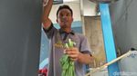 Foto: Sosok Pria yang Tak Lagi Bernama Kentut