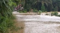 Banjir dengan ketinggian 1 meter itu terjadi akibat hujan deras yang melanda Kabupaten Merangin Jambi pada Selasa dini hari tadi hingga menyebabkan ratusan rumah terendam serta jalur jalan perbatasan Kabupaten Merangin- Kerinci sempat terputus akibat ketinggian air.