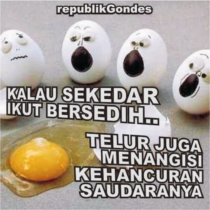 Penggemar Telur Yuk Intip 10 Meme Telur Yang Bikin Ngakak Ini Foto 10