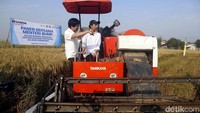 Menteri Rini dan Dirut Pupuk Indonesia mengikuti acara panen raya di Desa Duhur sebagai tahap akhir dari kegiatan panen warga yang memiliki luas area lahan sebesar 500 Ha dengan jumlah gabah hasil panen tercatat sebanyak 4000 ton.