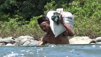 Satu karung gabah yang kami panggul ini beratnya 50 kg. Bukan cuma gabah, kadang jagung kami juga panggul melewati sungai ini. Kita begini karena tidak ada jalan lain kecuali sungai ini, kata Daeng Beta,