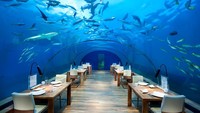Foto: Selain kamar tidur, penginapan ini juga punya restoran dan spa underwater. Traveler yang ingin menikmati keindahan bawah laut yang super mewah harus mengeluarkan kocek agak dalam, yaitu sebesar Pounds 35.000 atau sekitar Rp 685.300.000 per malamnya. (dok conradmaldives)
