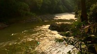 Bella juga mengagumi alam Suku Baduy yang memang tinggal di perbukitan Gunung Kendeng yang ada di Kabupaten lebak, sekitar 75 kilometer arah selatan Rangkasbitung, Banten. (laudyacynthiabella/Instagram)