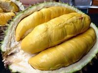 Durian Petruk yang enak dari Jepara.