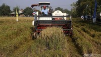 Pupuk Indonesia memiliki tugas mengelola PT Mitra Desa Bersama Tempuran di Kabupaten Karawang yang memiliki anggota 126 Kelompok Tani dan 5.903 petani dengan luas lahan pertanian 6.679 hektar, dengan produktivitas gabah sebesar 8 ton.