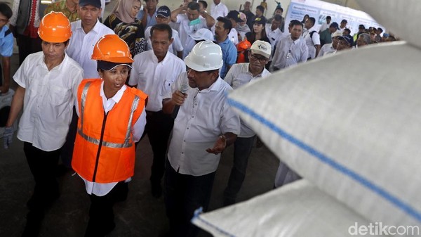 Menteri Rini Panen Raya 4000 Ton Gabah di Karawang