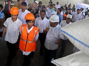 Menteri Rini Panen Raya 4000 Ton Gabah di Karawang