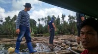 Jika kayu sudah diolah menjadi papan dan balok, maka diperkirakan ada sekitar 150 kubik lebih dengan harga mencapai Rp 450 jutaan. Tentu jumlah ini bukan lagi jumlah yang sedikit dan dipastikan ada yang punya.